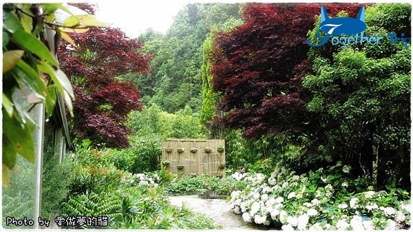 0511a40.JPG 0511a40.JPG