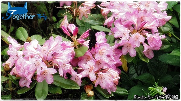 0511a41.JPG 0511a41.JPG