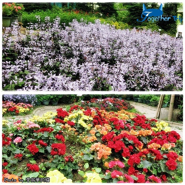 0511a38.jpg 0511a38.jpg