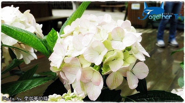 0511a35.JPG 0511a35.JPG