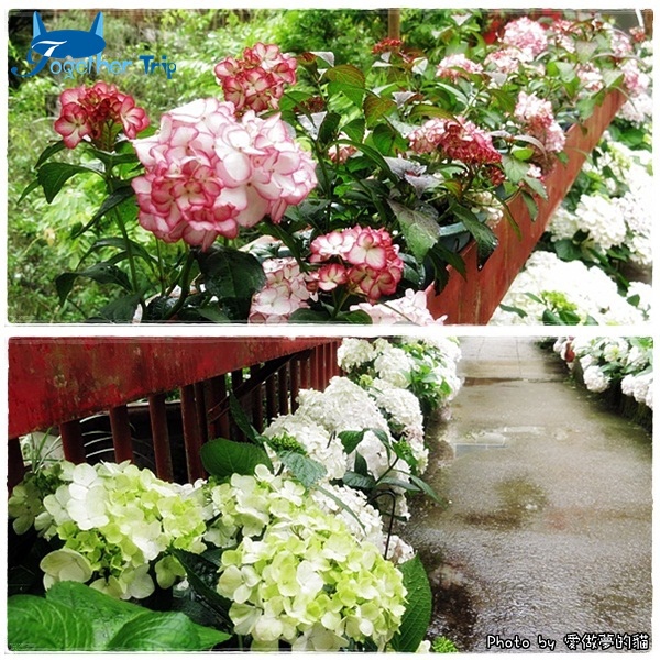 0511a34.jpg 0511a34.jpg