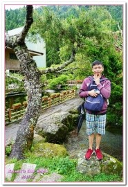 杉林溪森林生態渡假園區:南投賞花旅遊.遍地繁花、仙境一般的所在──杉林溪森林生態渡假園區