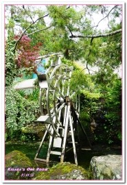 杉林溪森林生態渡假園區:南投賞花旅遊.遍地繁花、仙境一般的所在──杉林溪森林生態渡假園區