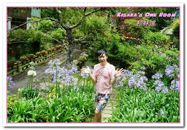 杉林溪森林生態渡假園區:南投賞花旅遊.遍地繁花、仙境一般的所在──杉林溪森林生態渡假園區