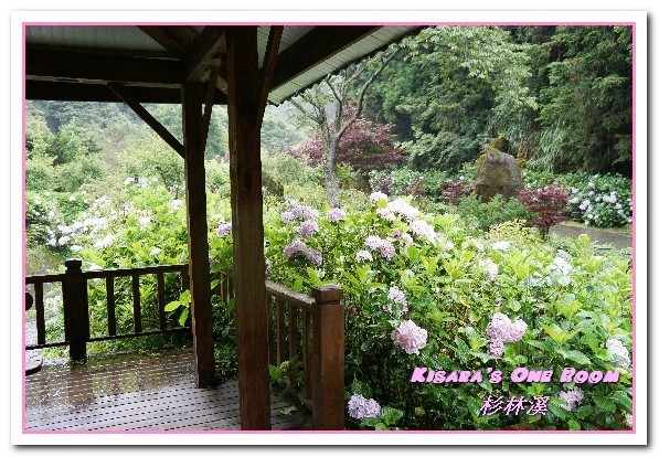 杉林溪森林生態渡假園區:南投賞花旅遊.遍地繁花、仙境一般的所在──杉林溪森林生態渡假園區