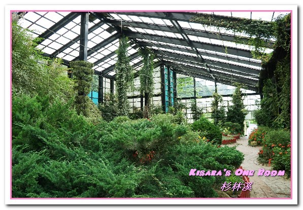 杉林溪森林生態渡假園區:南投賞花旅遊.遍地繁花、仙境一般的所在──杉林溪森林生態渡假園區