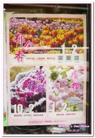 杉林溪森林生態渡假園區:南投賞花旅遊.遍地繁花、仙境一般的所在──杉林溪森林生態渡假園區