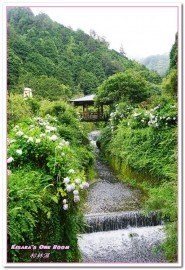 杉林溪森林生態渡假園區:南投賞花旅遊.遍地繁花、仙境一般的所在──杉林溪森林生態渡假園區