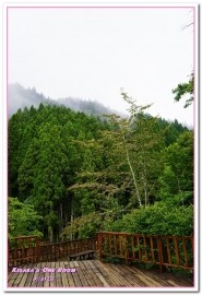 杉林溪森林生態渡假園區:南投賞花旅遊.遍地繁花、仙境一般的所在──杉林溪森林生態渡假園區