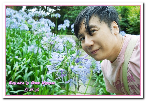 杉林溪森林生態渡假園區:南投賞花旅遊.遍地繁花、仙境一般的所在──杉林溪森林生態渡假園區