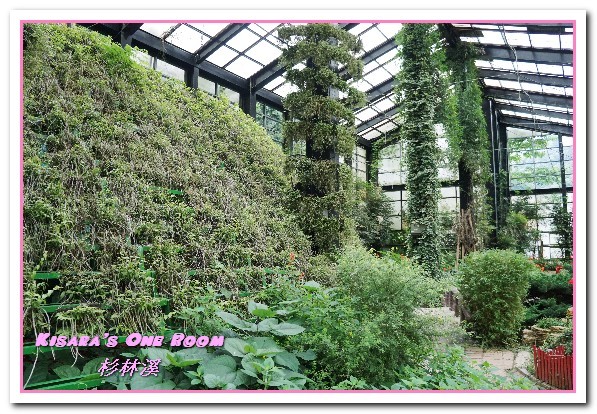 杉林溪森林生態渡假園區:南投賞花旅遊.遍地繁花、仙境一般的所在──杉林溪森林生態渡假園區