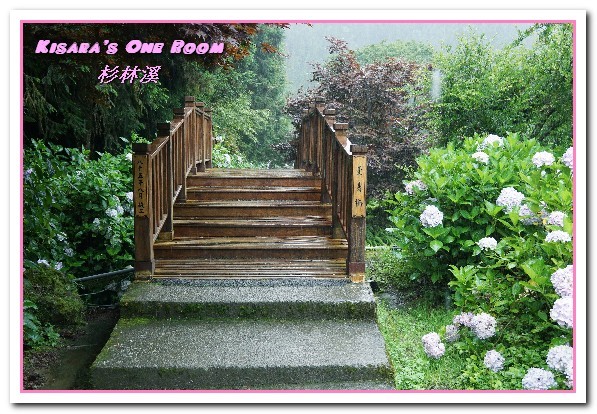 杉林溪森林生態渡假園區:南投賞花旅遊.遍地繁花、仙境一般的所在──杉林溪森林生態渡假園區