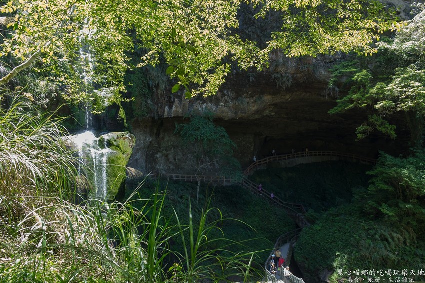 南投竹山︱杉林溪森林生態渡假園區　血紅楓樹與午後飛霧，賞楓就到美如仙境的杉林溪吧！