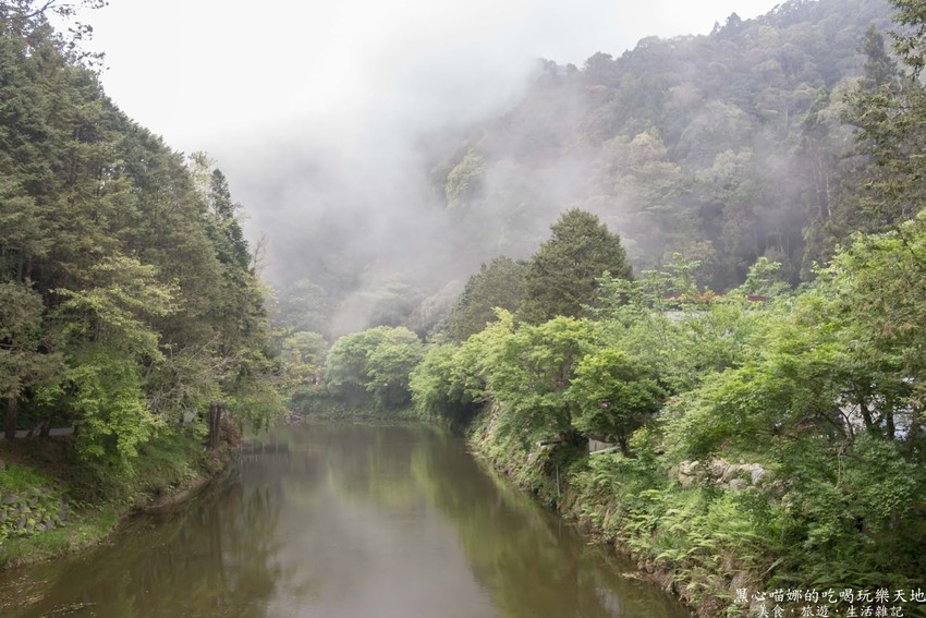 南投竹山︱杉林溪森林生態渡假園區　血紅楓樹與午後飛霧，賞楓就到美如仙境的杉林溪吧！