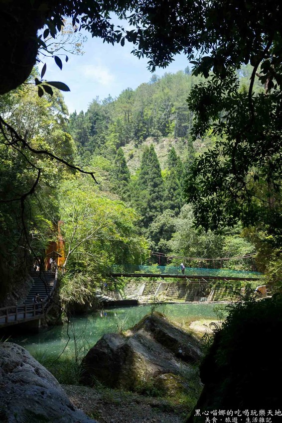 南投竹山︱杉林溪森林生態渡假園區　血紅楓樹與午後飛霧，賞楓就到美如仙境的杉林溪吧！