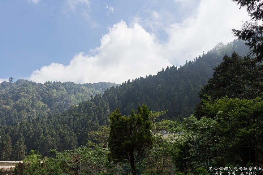 南投竹山︱杉林溪森林生態渡假園區　血紅楓樹與午後飛霧，賞楓就到美如仙境的杉林溪吧！