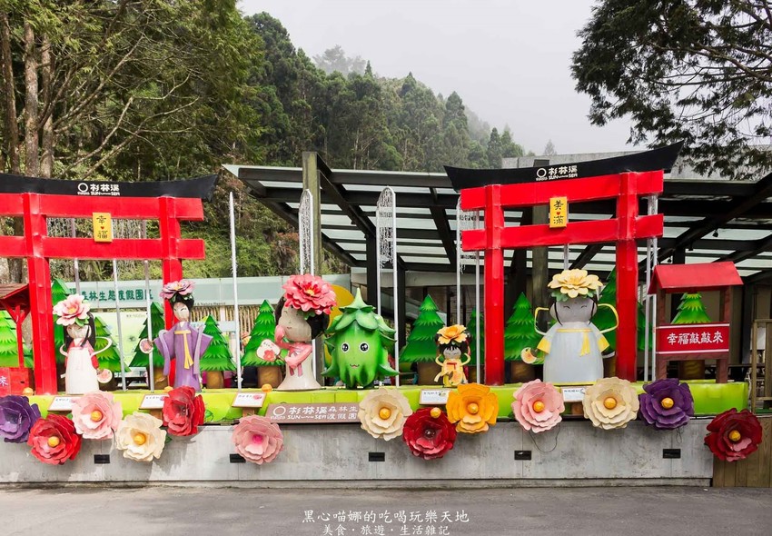 南投竹山︱杉林溪森林生態渡假園區　血紅楓樹與午後飛霧，賞楓就到美如仙境的杉林溪吧！