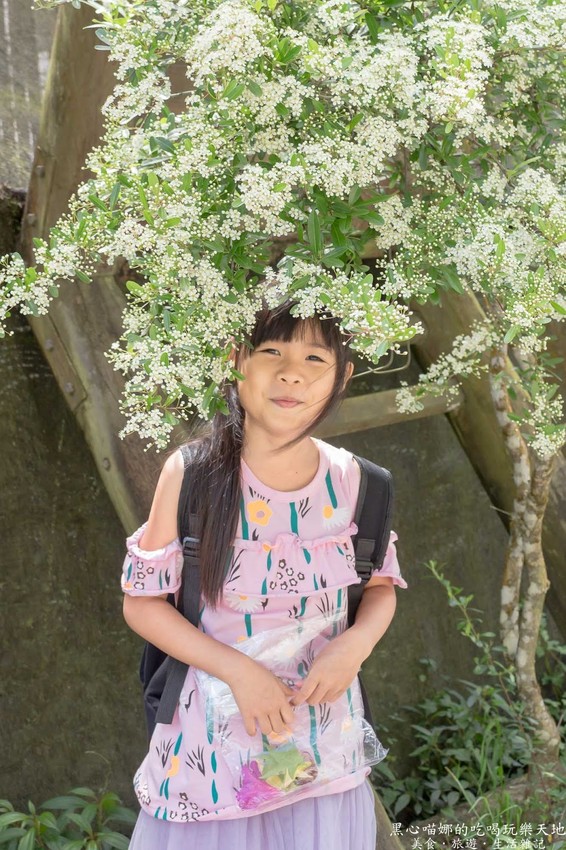 南投竹山︱杉林溪森林生態渡假園區　血紅楓樹與午後飛霧，賞楓就到美如仙境的杉林溪吧！