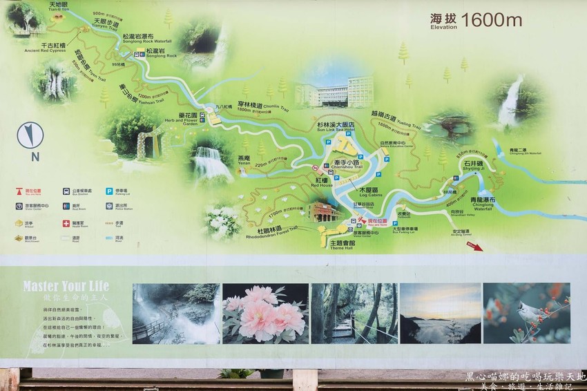 南投竹山︱杉林溪森林生態渡假園區　血紅楓樹與午後飛霧，賞楓就到美如仙境的杉林溪吧！