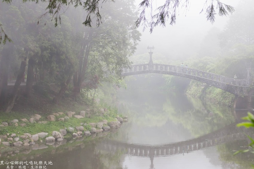 南投竹山︱杉林溪森林生態渡假園區　血紅楓樹與午後飛霧，賞楓就到美如仙境的杉林溪吧！