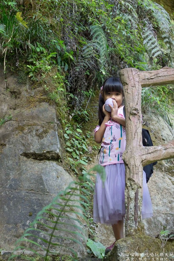 南投竹山︱杉林溪森林生態渡假園區　血紅楓樹與午後飛霧，賞楓就到美如仙境的杉林溪吧！