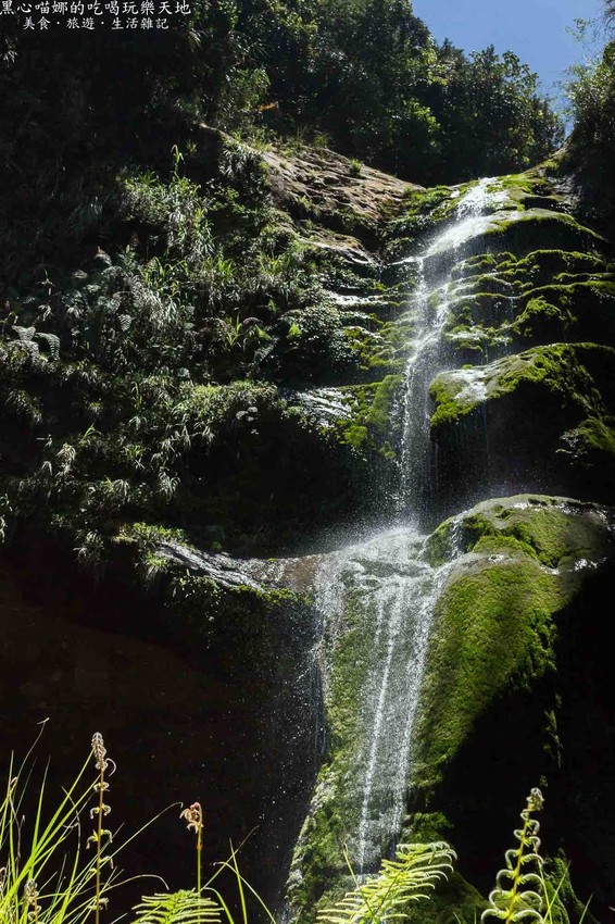 南投竹山︱杉林溪森林生態渡假園區　血紅楓樹與午後飛霧，賞楓就到美如仙境的杉林溪吧！
