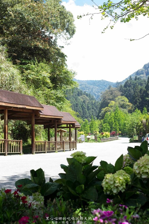 南投竹山︱杉林溪森林生態渡假園區　血紅楓樹與午後飛霧，賞楓就到美如仙境的杉林溪吧！