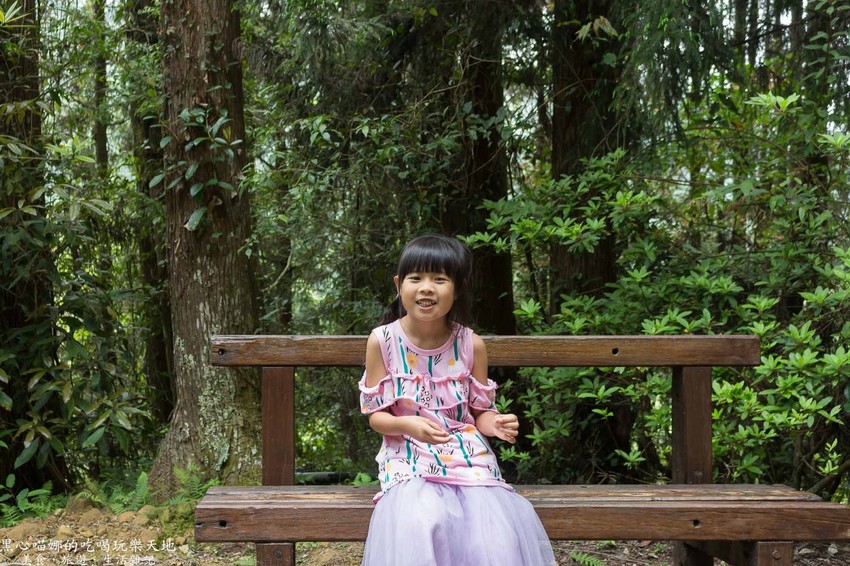 南投竹山︱杉林溪森林生態渡假園區　血紅楓樹與午後飛霧，賞楓就到美如仙境的杉林溪吧！