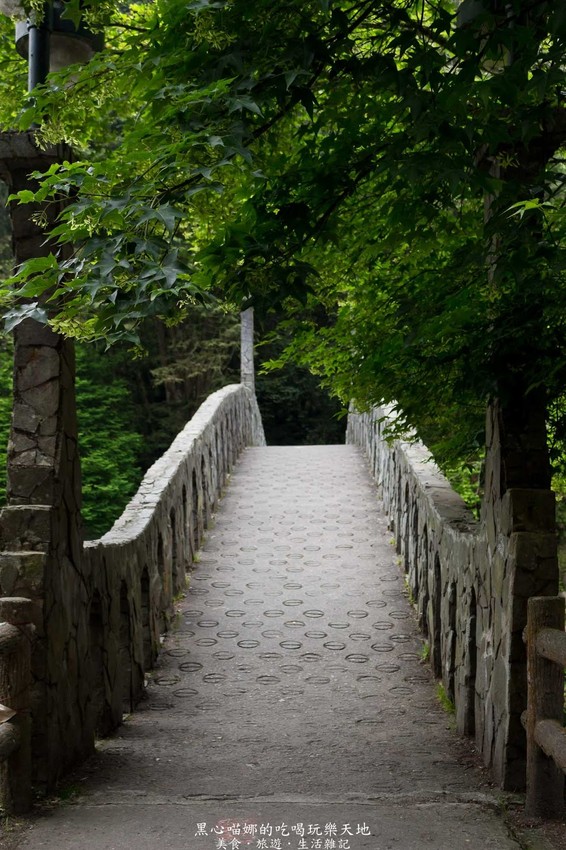 南投竹山︱杉林溪森林生態渡假園區　血紅楓樹與午後飛霧，賞楓就到美如仙境的杉林溪吧！