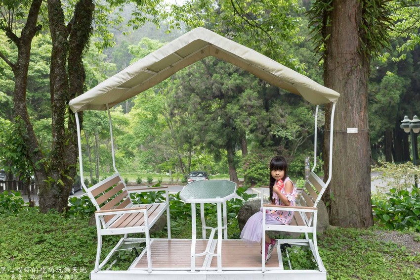 南投竹山︱杉林溪森林生態渡假園區　血紅楓樹與午後飛霧，賞楓就到美如仙境的杉林溪吧！