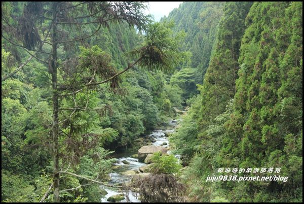 杉林溪22.JPG
