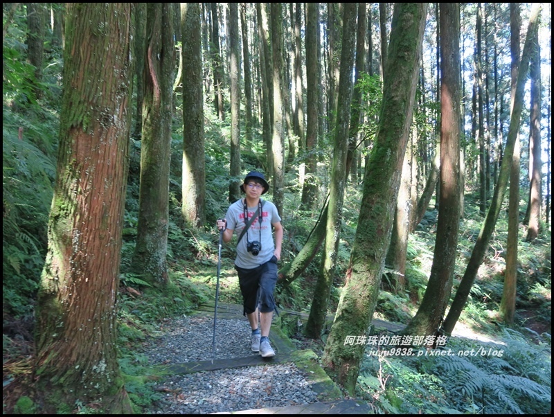 杉林溪59.JPG