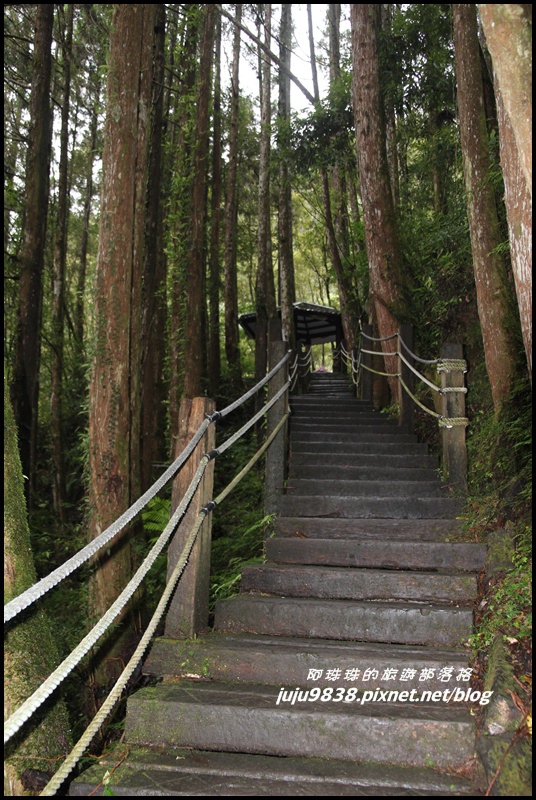 杉林溪44.JPG