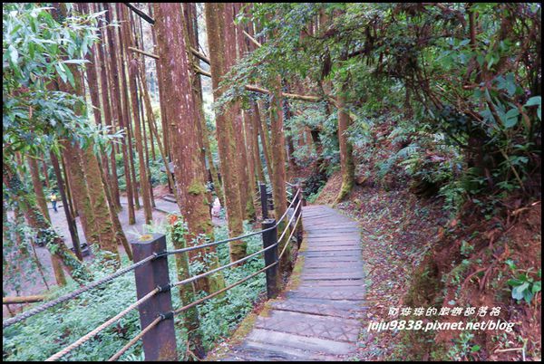 杉林溪72.JPG