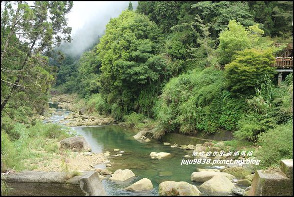 杉林溪46.JPG