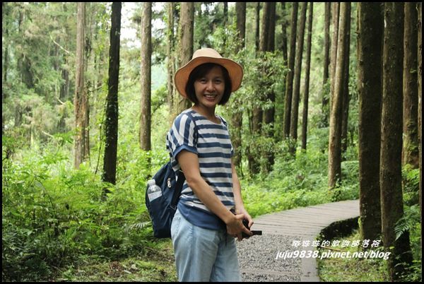 杉林溪21.JPG