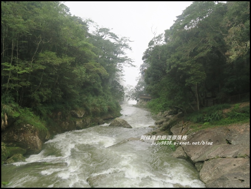 杉林溪10.JPG