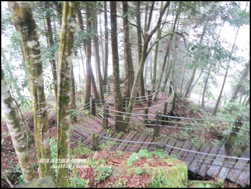 杉林溪20.JPG