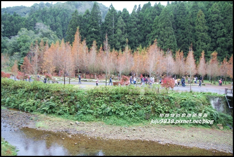 杉林溪48.JPG