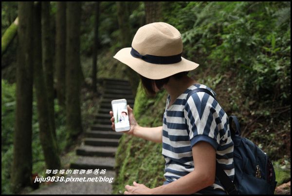 杉林溪18.JPG
