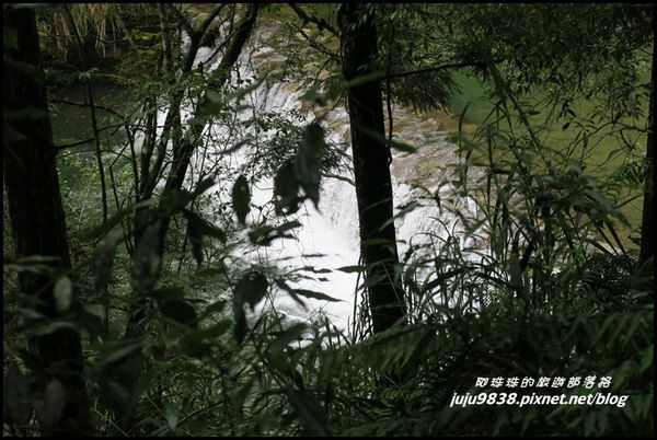 杉林溪74.JPG
