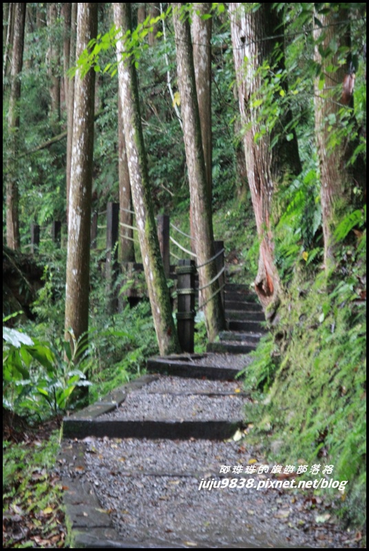 杉林溪13.JPG