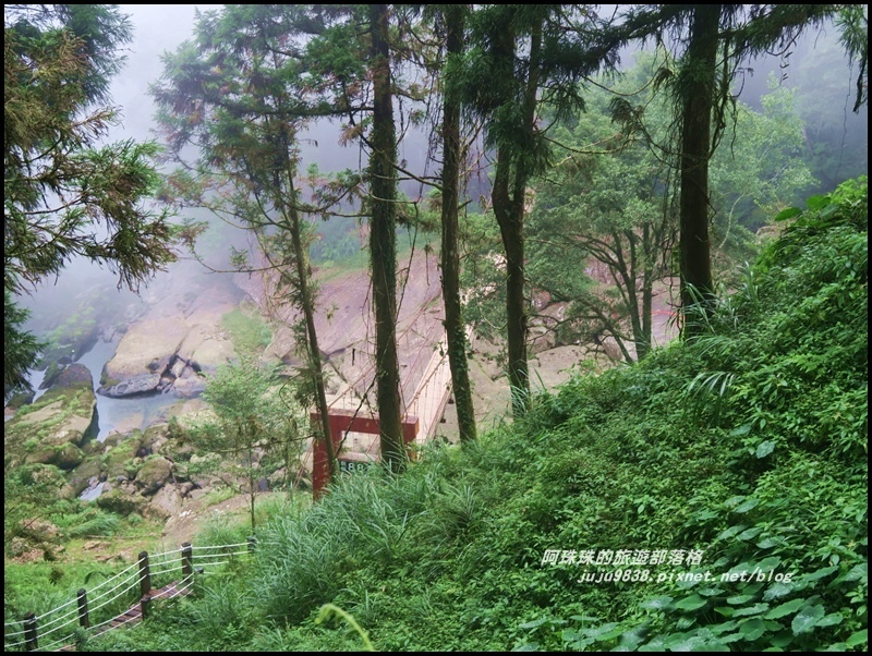 杉林溪3.JPG