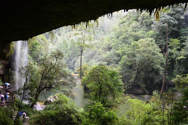 DSC_0213.JPG DSC_0213.JPG