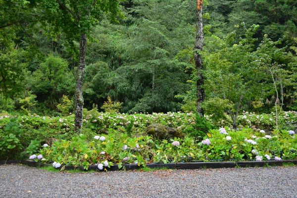 DSC_0159.JPG DSC_0159.JPG