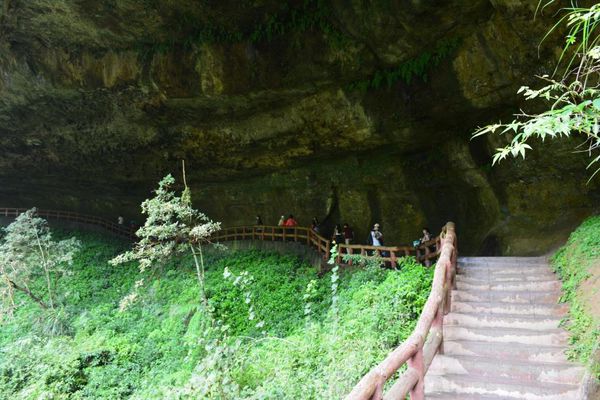 DSC_0201.JPG DSC_0201.JPG