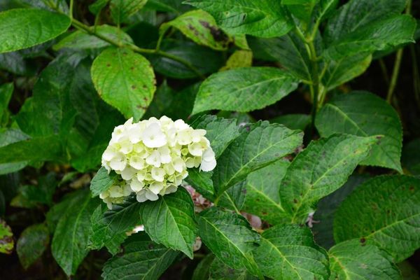 DSC_0162.JPG DSC_0162.JPG