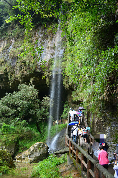 DSC_0180_mh1439780619649.jpg DSC_0180_mh1439780619649.jpg