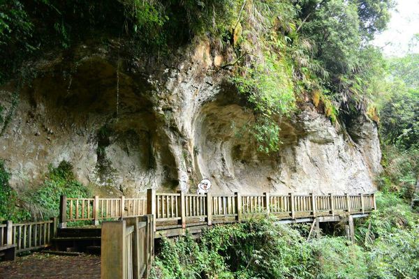 [南投竹山]避暑勝地~杉林溪2015繡球花季-千古紅檜&天地眼