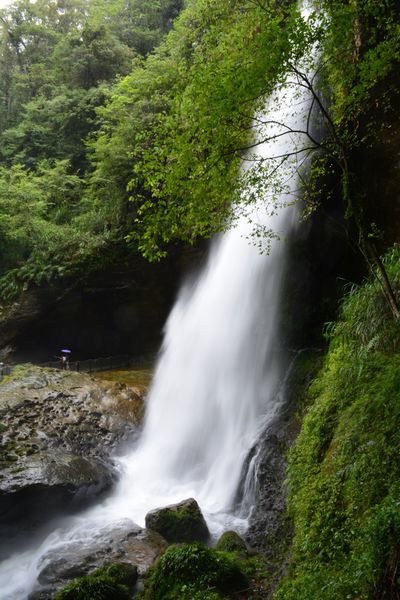 DSC_0230.JPG DSC_0230.JPG